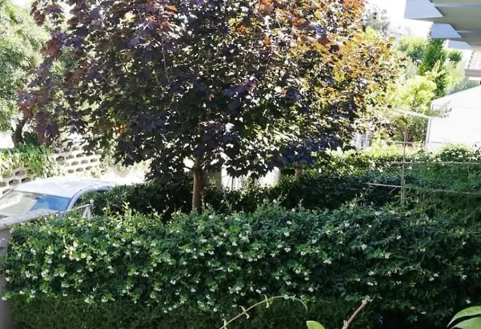 Aparthotel Margherita 3*