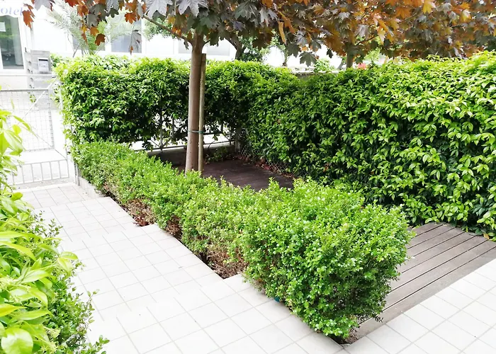 Margherita Aparthotel 3*