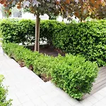 Margherita - Al Mare Aparthotel 3*