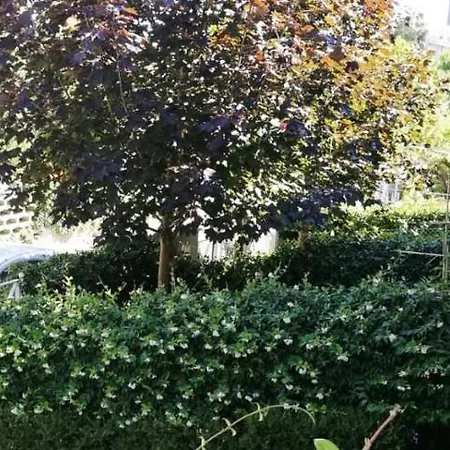 Aparthotel Margherita - Al Mare 3*